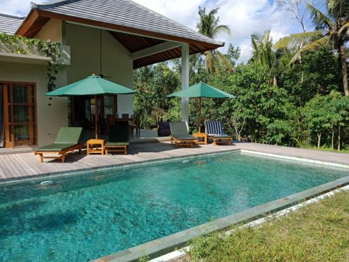 Modern Ubud villas with a private pool
