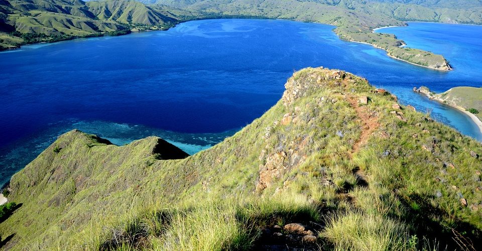 Going to Komodo Island? Here Are Things You Need to Take Notes